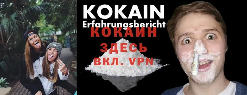 COCAIN Эквадор Куровское